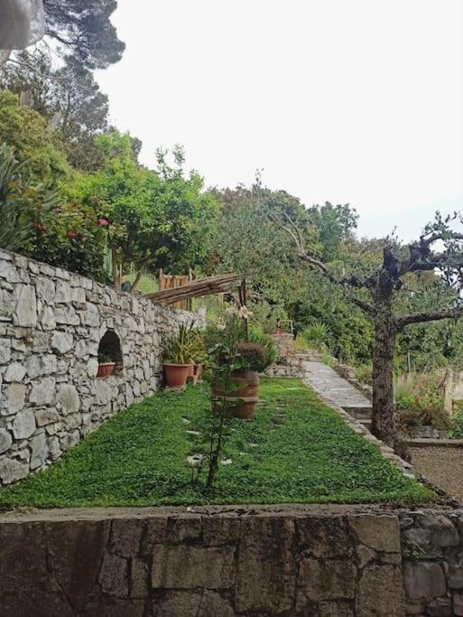 דירות ססטרי לבאנטה La Piazzetta Di Gra E Baldo מראה חיצוני תמונה