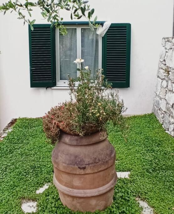 דירות ססטרי לבאנטה La Piazzetta Di Gra E Baldo מראה חיצוני תמונה